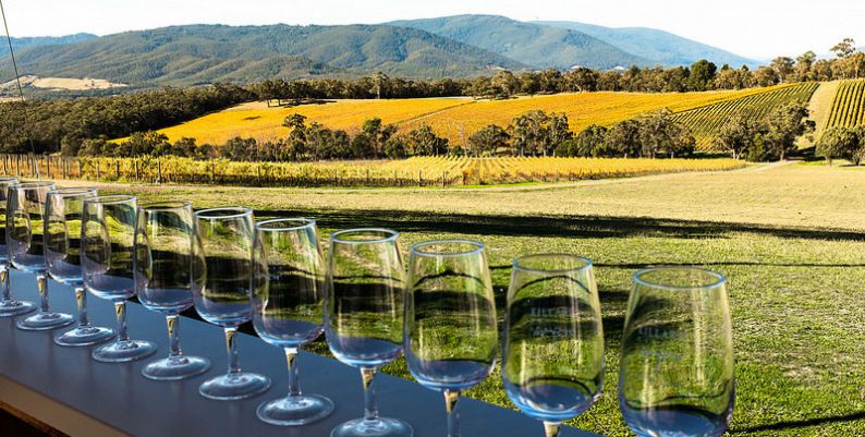 Cata de vino al aire libre