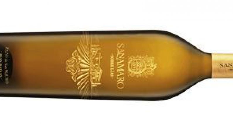 Sanamaro, el vino blanco de parcela de Pazo de San Mauro para celebrar el Día de Galicia