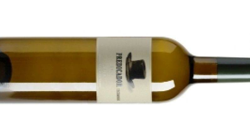 Predicador Blanco 2023, la esencia mineral de San Vicente de la Sonsierra.