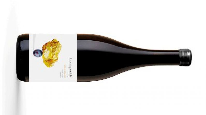 Tras recuperar viejas garnachas en Gredos, Lo Imposible encuentra en Jamuz (León) el viñedo perfecto para su nuevo vino.