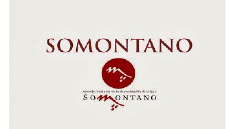 2020, Excelente añada de los vinos de la D.O. Somontano. 