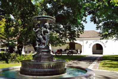 Bodega Undurraga, Talangante (Chile)