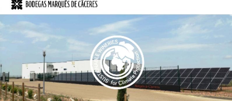 Bodegas Marqués de Cáceres Rueda certifica su sostenibilidad.