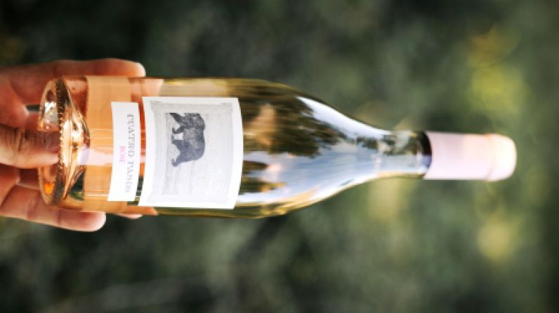 Cuatro Pasos Rosé, reconocido como mejor vino rosado del Bierzo 2025 por Tim Atkin.
