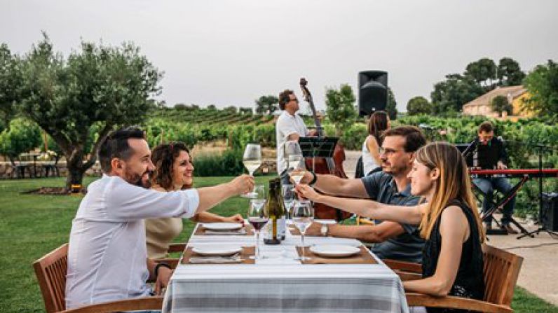 Maridajes, visitas exclusivas y música en vivo: estas son algunas de las propuestas enoturísticas de Familia Torres.