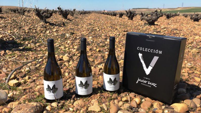 Agotada la añada 2020 de V MALCORTA, uno de los vinos más especiales de Javier Sanz Viticultor.